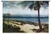 Tropical Coast Wall Tapestry - C-3084
