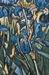 Irises in Garden Van Gogh Belgian Wall Tapestry - W-12380-23