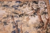 Hand Woven Landscape Verdure Wall Tapestry - G-1073