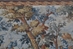 Hand Woven Verdure Outdoor Scene French Style Wall Tapestry - G-1022