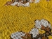 Almond Blossom Yellow Horizontal Wall Tapestry - M-1001-YH50