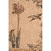 Serenade Creme French Wall Tapestry - W-423