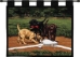 Stealing 2nd Base Wall Tapestry - C-0820