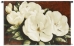 Magnolia Crimson Wall Tapestry - C-2125