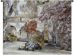 Purple Flowers Spanish Estate Wall Tapestry - C-2222