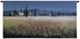 Tuscan Poppies Wall Tapestry - C-2228