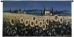 Tuscan Sunflower Wall Tapestry - C-2229