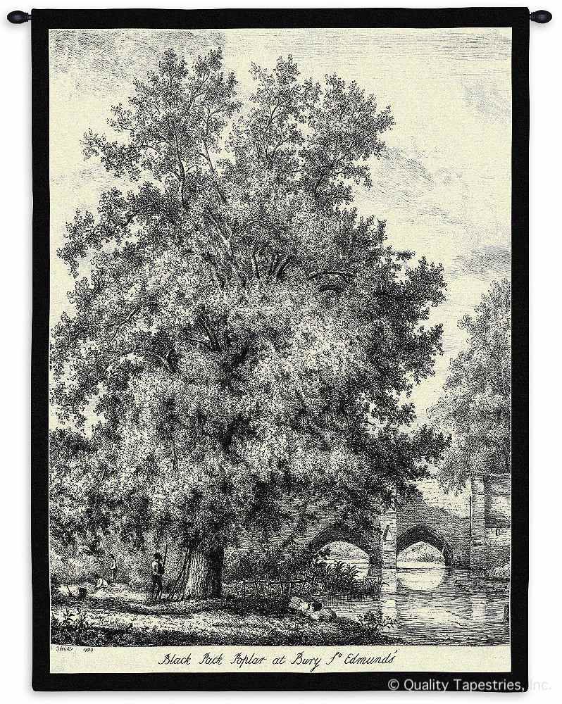 Poplar Tree Wall Tapestry C-2230, &, 2230-Wh, 2230C, 2230Wh, 40-49Incheswide, 40W, 50-59Inchestall, 53H, Art, Black, Botanical, Carolina, USAwoven, Cotton, Floral, Flower, Flowers, Gray, Grey, Hanging, Pedals, Poplar, Tapestries, Tapestry, Tree, Vertical, Wall, White, Woven, tapestries, tapestrys, hangings, and, the