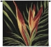 Birds of Paradise Wall Tapestry - C-2231