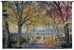Autumn Path Trees Leaves Wall Tapestry - C-2286