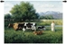 Country Girl Wall Tapestry - C-2329