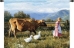 Morning Walk Wall Tapestry - C-2339