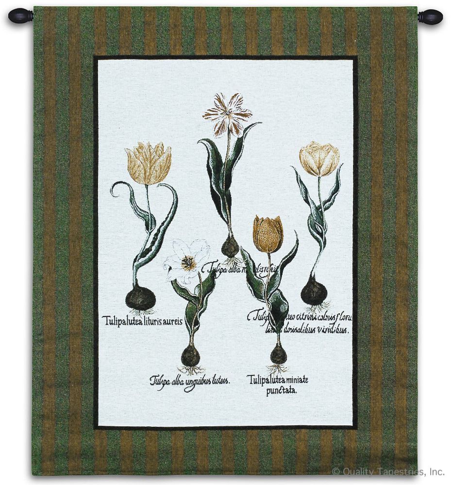 Tulip Study I Wall Tapestry C-2775, 10-29Incheswide, 26W, 2775-Wh, 2775C, 2775Wh, 30-39Inchestall, 33H, Abstract, Art, Botanical, Carolina, USAwoven, Contemporary, Cotton, Floral, Flower, Flowers, Green, Group, Hanging, I, Modern, Pedals, Study, Tapastry, Tapestries, Tapestry, Tapistry, Tulip, Vertical, Wall, White, Woven, tapestries, tapestrys, hangings, and, the