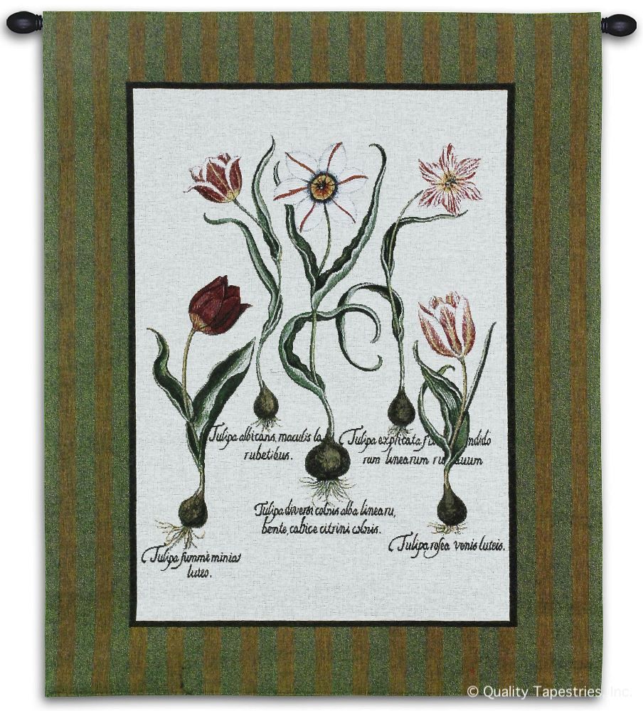 Tulip Study II Wall Tapestry C-2776, 10-29Incheswide, 26W, 2776-Wh, 2776C, 2776Wh, 30-39Inchestall, 33H, Abstract, Art, Botanical, Carolina, USAwoven, Contemporary, Cotton, Floral, Flower, Flowers, Green, Group, Hanging, Ii, Modern, Pedals, Study, Tapastry, Tapestries, Tapestry, Tapistry, Tulip, Vertical, Wall, White, Woven, tapestries, tapestrys, hangings, and, the