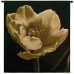 Timeless Grace Wall Tapestry - C-2941