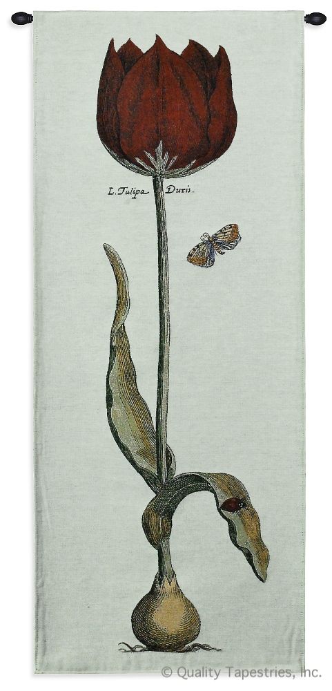 Red Tulip Modern Duris Wall Tapestry C-3045, 30-39Incheswide, 3045-Wh, 3045C, 3045Wh, 30W, 40, 40-49Inchestall, Art, Botanical, Carolina, USAwoven, Cotton, Duris, Floral, Flower, Flowers, Group, H, Hanging, Modern, Pedals, Red, Tapestries, Tapestry, Tulip, Vertical, Wall, White, Woven, tapestries, tapestrys, hangings, and, the, tulipa