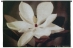 Source II Wall Tapestry - C-3053