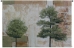 Parchment Trees Wall Tapestry - C-3054