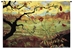 Apple Tree With Red Fruit Wall Tapestry - C-3089