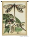 Dragonfly I Wall Tapestry - C-3120