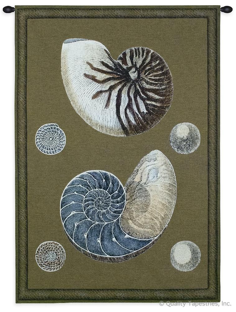 Nautilus Wall Tapestry C-3128, Carolina, USAwoven, Tapestry, Coastal, Brown, Cream, Blue, Shells, 30-39Incheswide, 50-59Inchestall, Vertical, Cotton, Woven, Wall, Hanging, Tapestries, tapestries, tapestrys, hangings, and, the