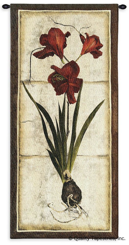 Red Tulip Study II Wall Tapestry C-3135, 10-29Incheswide, 26W, 3135-Wh, 3135C, 3135Wh, 50-59Inchestall, 55H, Art, Botanical, Carolina, USAwoven, Cotton, Floral, Flower, Flowers, Group, Hanging, Ii, Pedals, Red, Study, Tapestries, Tapestry, Tulip, Vertical, Wall, Woven, tapestries, tapestrys, hangings, and, the