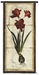 Red Tulip Study II Wall Tapestry - C-3135