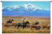 Cattle Range Wall Tapestry - C-3210