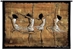 Dancing Girls Ballet Wall Tapestry - C-3605