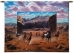 Running Wild Wall Tapestry - C-4790