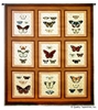 Butterfly Patch Wall Tapestry C-4793, 40-49Incheswide, 46W, 4793-Wh, 4793C, 4793Wh, 50-59Inchestall, 52H, Animal, Animals, Art, Beige, Brown, Butterflies, Butterfly, Carolina, USAwoven, Contemporary, Cotton, Hanging, Orange, Patch, Tapastry, Tapestries, Tapestry, Tapistry, Vertical, Wall, Woven, tapestries, tapestrys, hangings, and, the