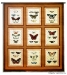 Butterfly Patch Wall Tapestry - C-4794