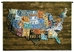 US License Plates III Wall Tapestry - C-4829