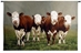 Fab Four Cow Wall Tapestry - C-5304