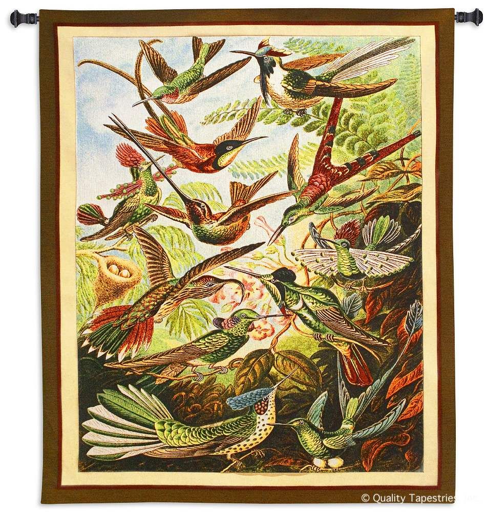 Trochilus Streamertail Wall Tapestry C-5671, 40-49Incheswide, 41W, 5671-Wh, 5671C, 5671Wh, 60-69Inchestall, 62H, Animal, Animals, Art, Aviary, Bird, Birds, Carolina, USAwoven, Cotton, Green, Hanging, Hummingbirds, Red, Streamertail, Tapastry, Tapestries, Tapestry, Tapistry, Trochilus, Vertical, Wall, Woven, tapestries, tapestrys, hangings, and, the