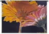 Striking Flowers Wall Tapestry C-6005, 30-39Inchestall, 38H, 50-59Incheswide, 53W, 6005-Wh, 6005C, 6005Wh, Abstract, Art, Bold, Botanical, Carolina, USAwoven, Contemporary, Cotton, Floral, Flower, Flowers, Hanging, Horizontal, Modern, Orange, Pedals, Pink, Purple, Striking, Tapastry, Tapestries, Tapestry, Tapistry, Wall, Woven, tapestries, tapestrys, hangings, and, the
