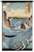 Navaro Rapids Japanese Wall Tapestry - C-6336