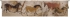 Lascaux Full Belgian Wall Tapestry - W-1730
