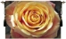 Yellow Rose Belgian Wall Tapestry - W-4964
