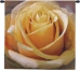 Yellow Rose Square Belgian Wall Tapestry - W-4965