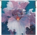 The Journey Never Ends Belgian Wall Tapestry - W-4969-21