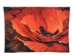 Desiree - Simon Bull Belgian Wall Tapestry - W-4970