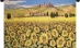 Tuscan Sunflower Landscape Italian Wall Tapestry - W-8307-35