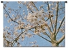 Japanese Cherry Blossom Wall Tapestry Carolina, USAwoven, Cotton, Hanging, Tapestries, Tapestry, Wall, Woven, Photograph, Photography, Exclusive, tapestries, tapestrys, hangings, and, the, almond, tree