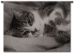 Tabby Cat Wall Tapestry - P-1081-S