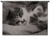 Tabby Cat Wall Tapestry - P-1081-S