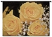 Canary Yellow Bouquet Wall Tapestry - P-1139-S