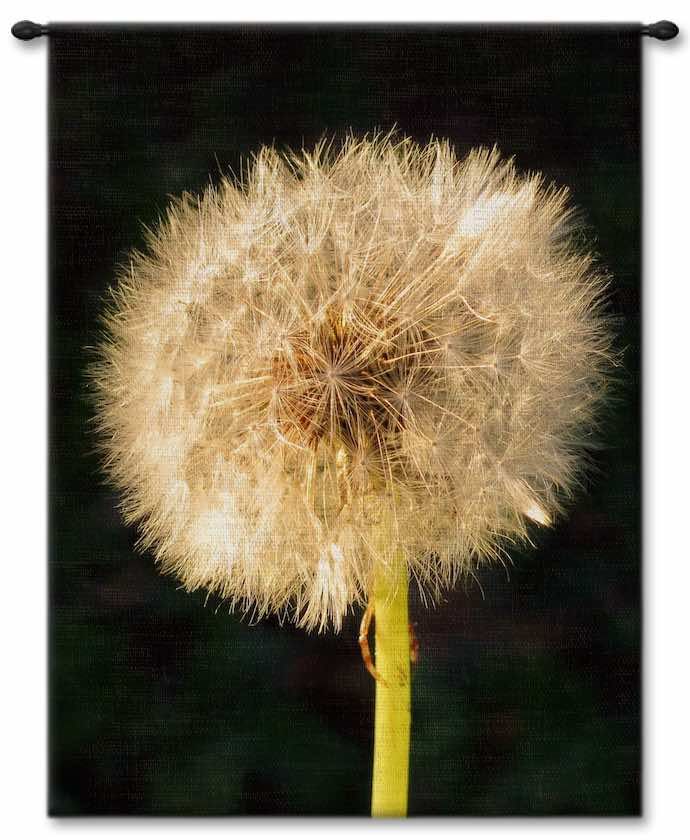 Dandelion Seeds Wall Tapestry Carolina, USAwoven, Cotton, Hanging, Tapestries, Tapestry, Wall, Woven, Photograph, Photography, Exclusive, tapestries, tapestrys, hangings, and, the