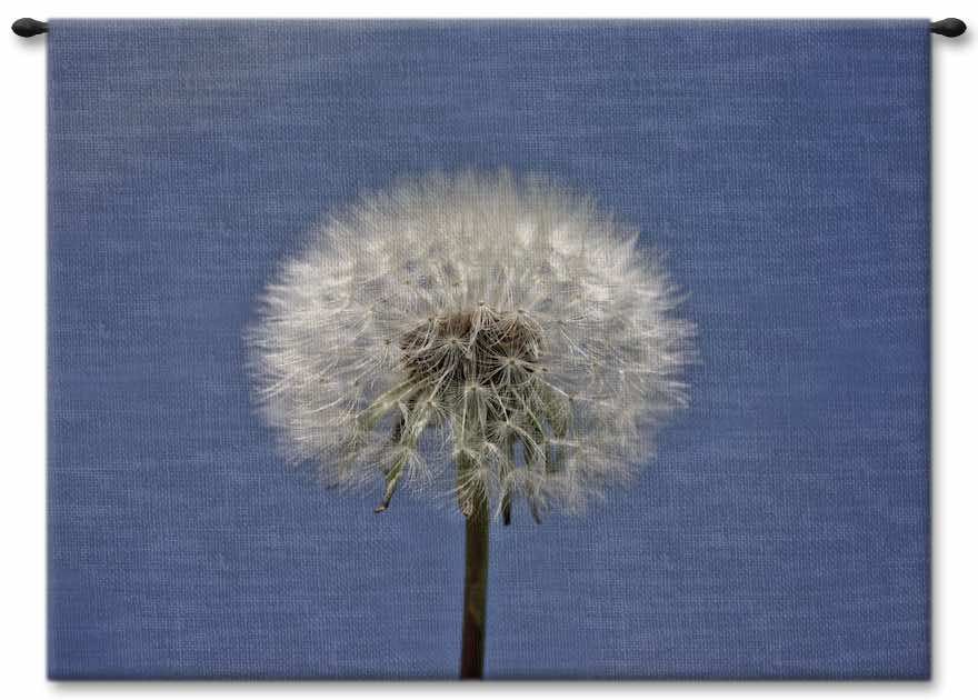 Blue Sky Dandelion Wall Tapestry Carolina, USAwoven, Cotton, Hanging, Tapestries, Tapestry, Wall, Woven, Photograph, Photography, Exclusive, tapestries, tapestrys, hangings, and, the