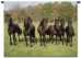 Six Buddies Wall Tapestry - P-1268-S